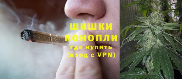 дурь Магас