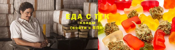 дурь Магас