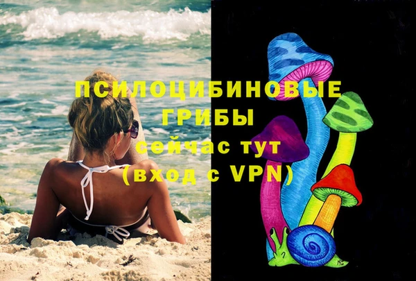 стафф Магадан