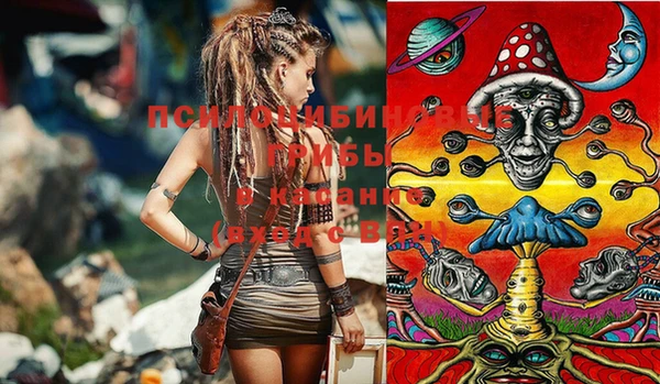стафф Магадан