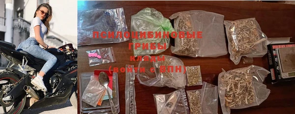 стафф Магадан