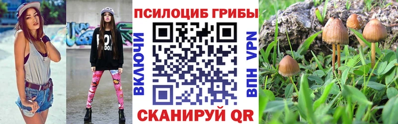 Псилоцибиновые грибы мухоморы  закладки  Калязин 